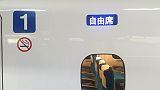 東海道新幹線】料金一覧表（東京・品川・新横浜←→新大阪・京都 
